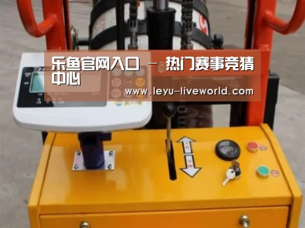 乐鱼体育赛事直播案例展示三