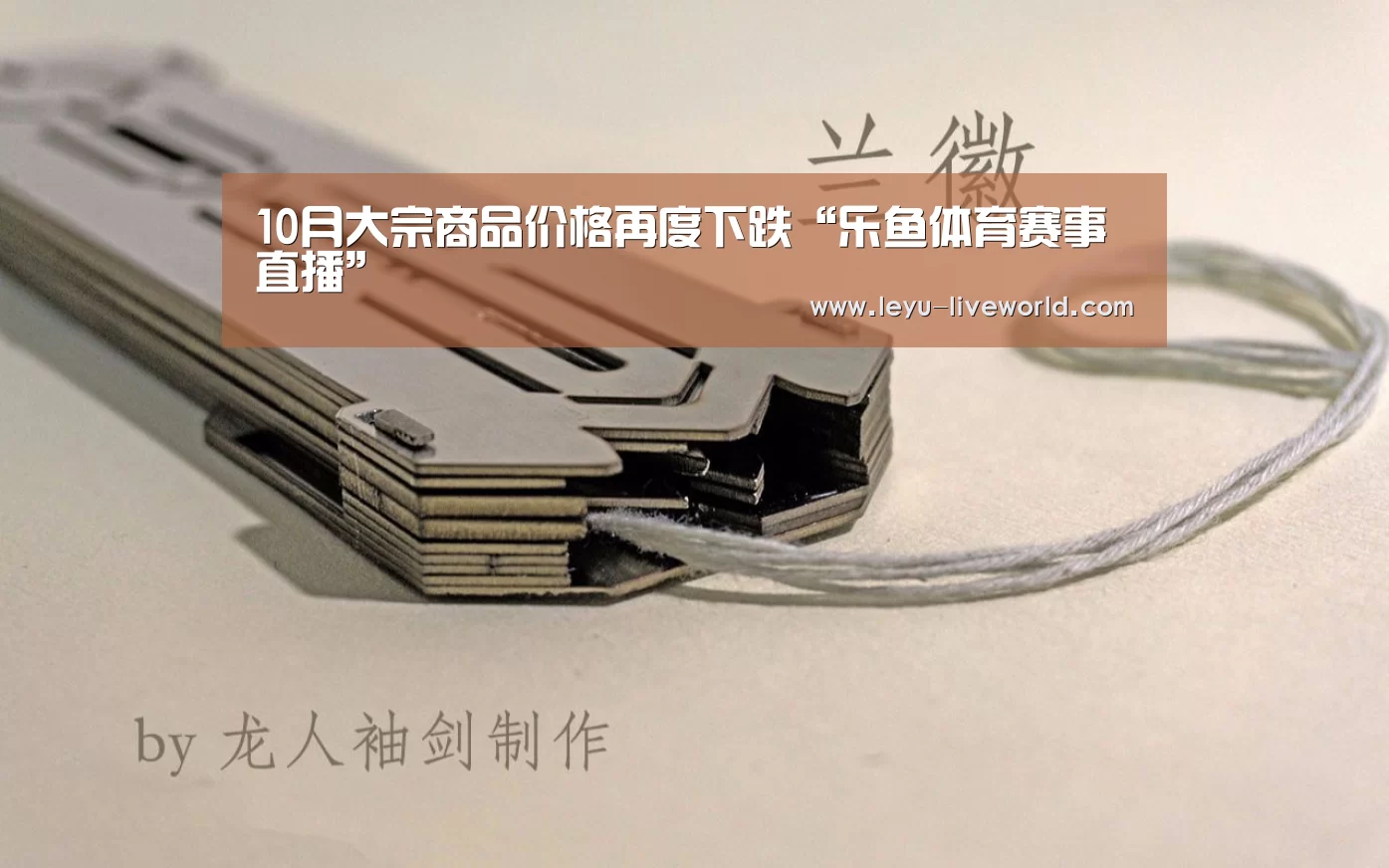 乐鱼电竞竞猜